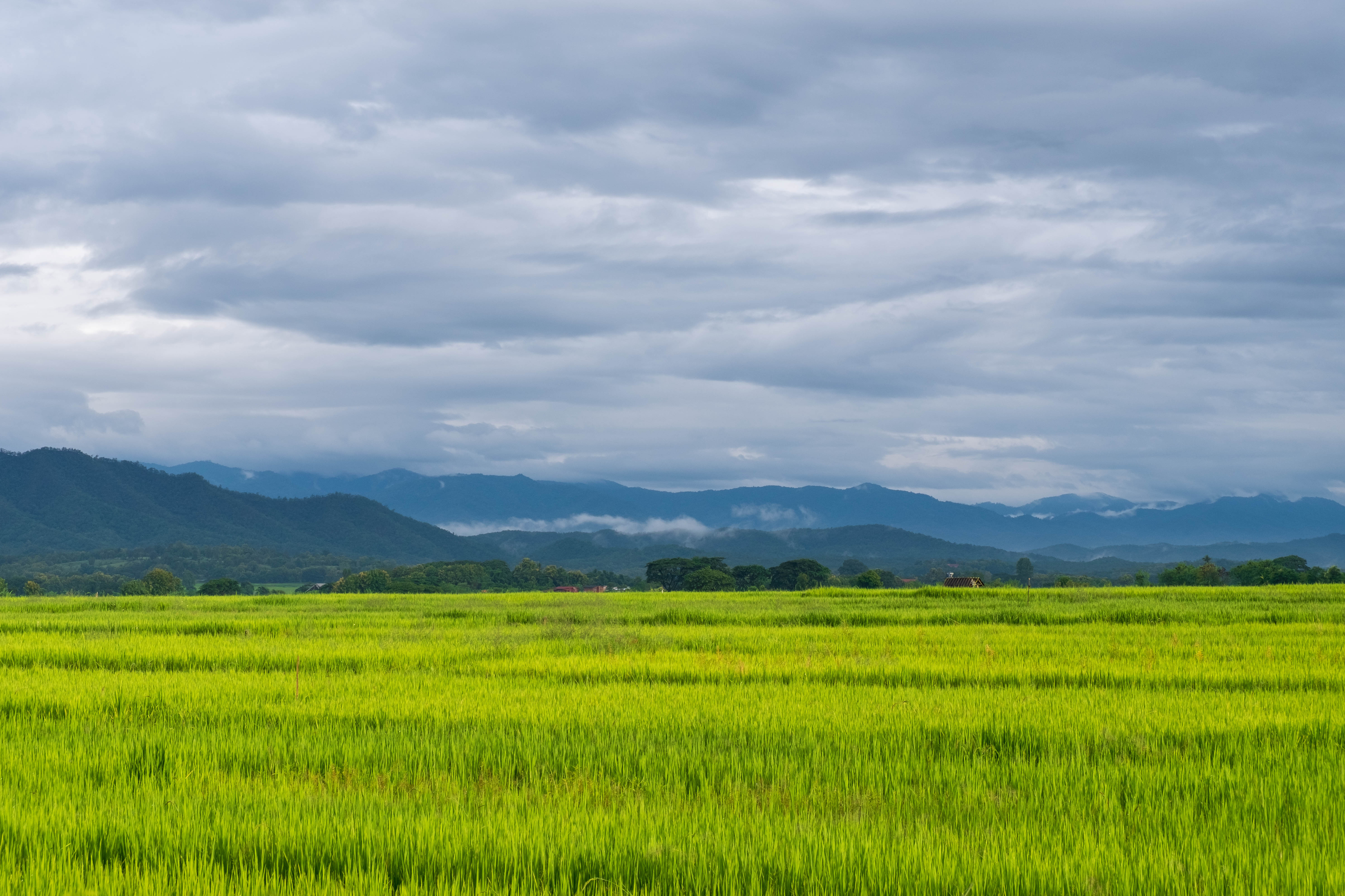 Panchganga Hero Background